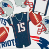 NFL Patriots Zip Pod Backpack