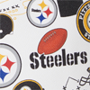 NFL Steelers Zip Pod Backpack